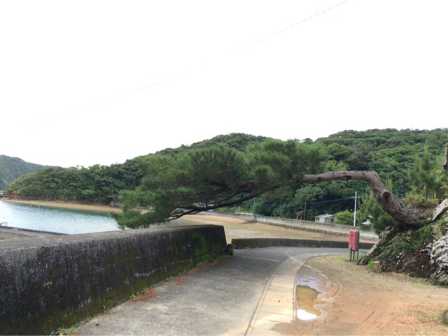 f:id:ryokichisan:20160507231115j:plain f:id:ryokichisan:20160507231115j:plain