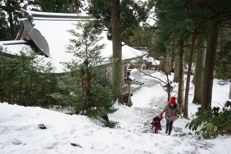 f:id:ryu2net:20131230125453j:plain f:id:ryu2net:20131230125453j:plain