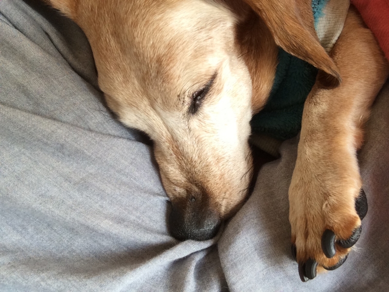 f:id:ryuji_026:20150111121120j:image:w360