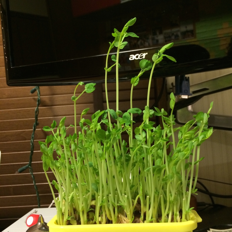 f:id:ryuji_026:20150113182207j:image:w320 f:id:ryuji_026:20150113182207j:image:w320