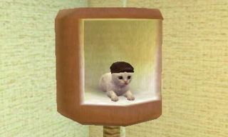f:id:ryukak:20110321101137j:image f:id:ryukak:20110321101137j:image