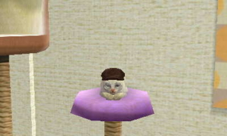 f:id:ryukak:20110321101138j:image f:id:ryukak:20110321101138j:image