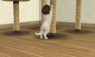 f:id:ryukak:20110321101141j:image f:id:ryukak:20110321101141j:image