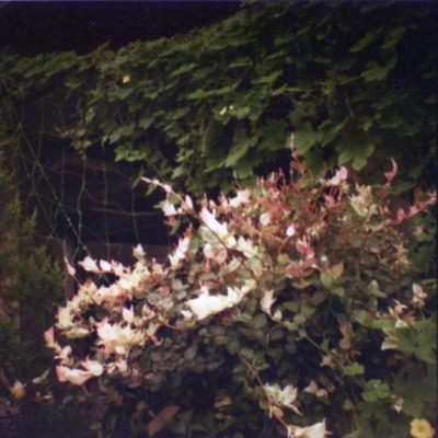 f:id:ryukak:20111006215159j:image f:id:ryukak:20111006215159j:image
