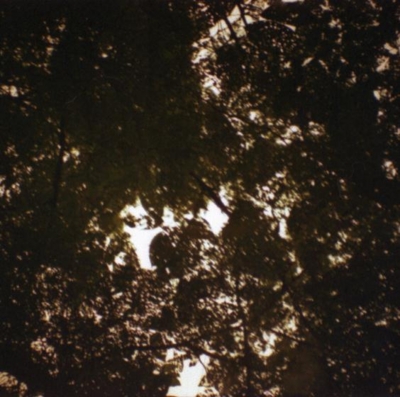 f:id:ryukak:20111006215200j:image f:id:ryukak:20111006215200j:image