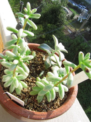 f:id:ryukak:20111009085611j:image f:id:ryukak:20111009085611j:image