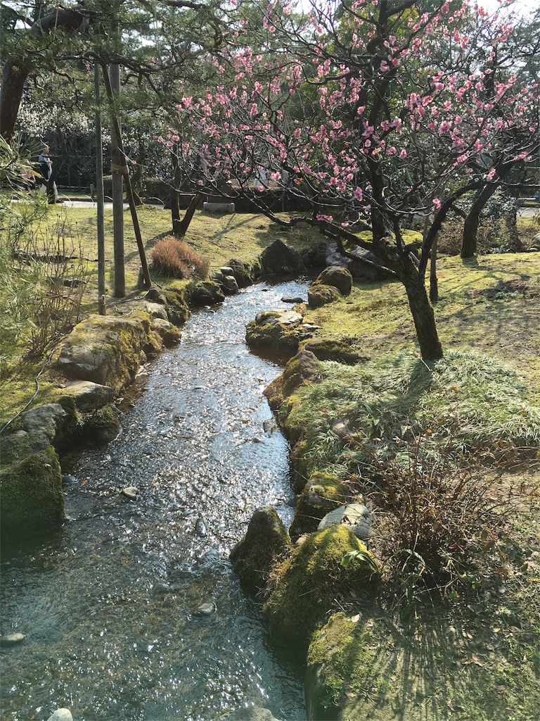 f:id:s-aska:20160306152803j:image f:id:s-aska:20160306152803j:image