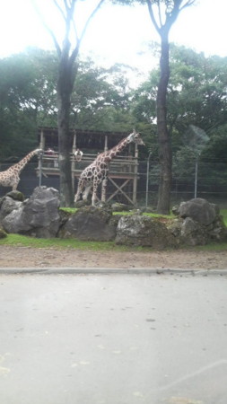 f:id:s-pulse:20080914113100j:image f:id:s-pulse:20080914113100j:image