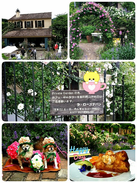 f:id:s-usapon:20150525214021j:image f:id:s-usapon:20150525214021j:image