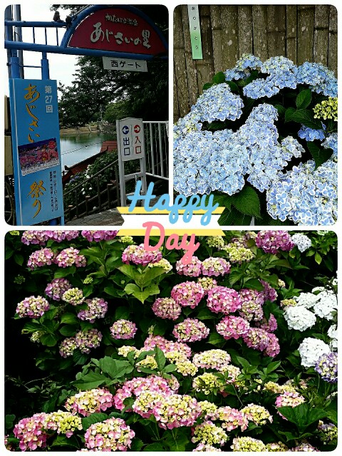 f:id:s-usapon:20150603093141j:image f:id:s-usapon:20150603093141j:image