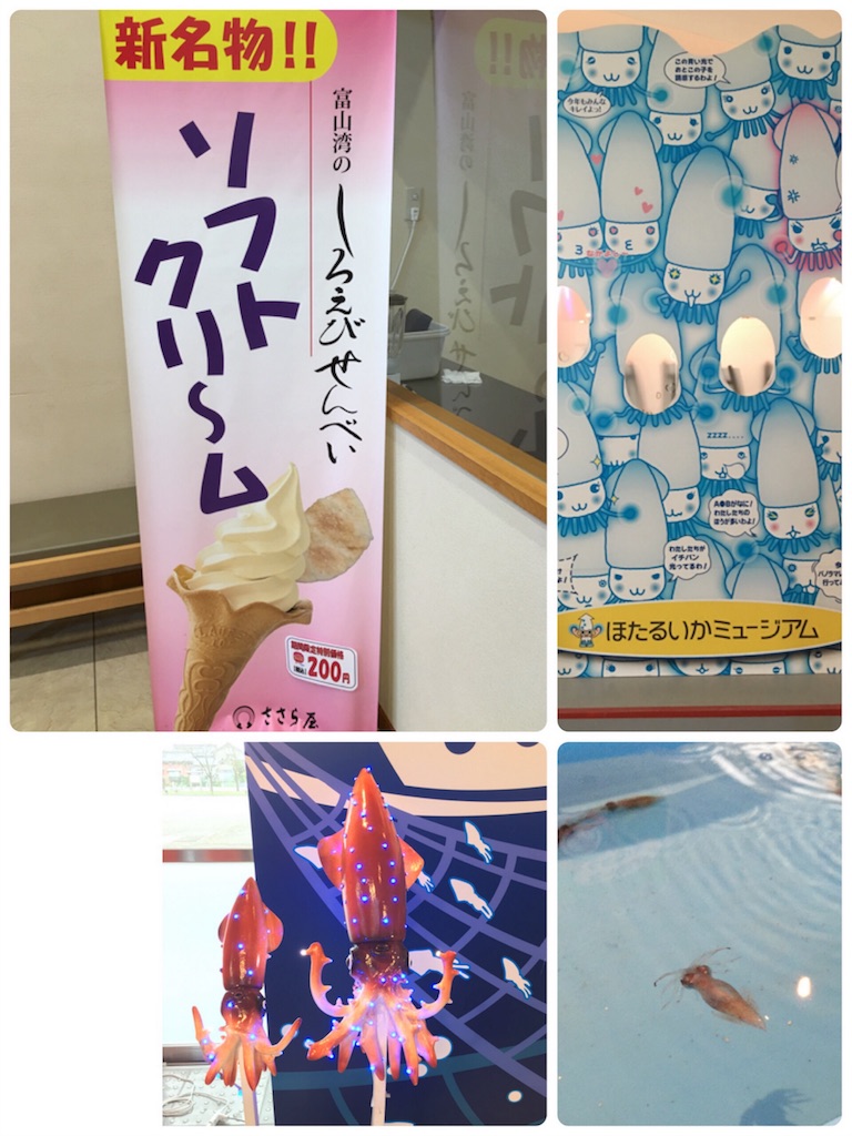f:id:s-usapon:20160520175512j:image f:id:s-usapon:20160520175512j:image