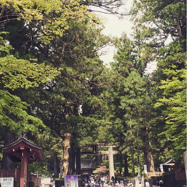 f:id:s-wani85:20150505212706j:plain f:id:s-wani85:20150505212706j:plain