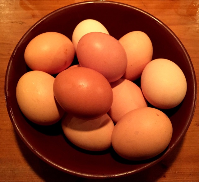 f:id:s06216to:20141018203412j:plain f:id:s06216to:20141018203412j:plain