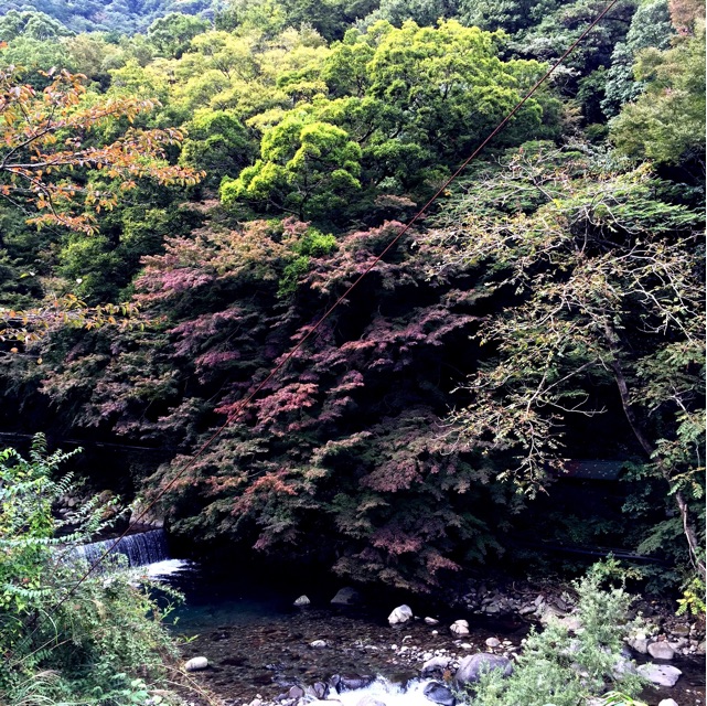 f:id:s06216to:20141021144017j:plain f:id:s06216to:20141021144017j:plain