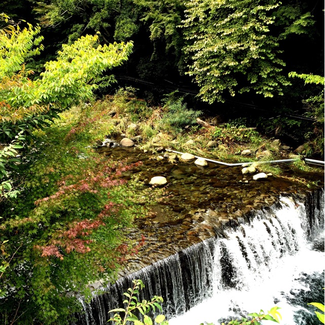 f:id:s06216to:20141021144044j:plain f:id:s06216to:20141021144044j:plain