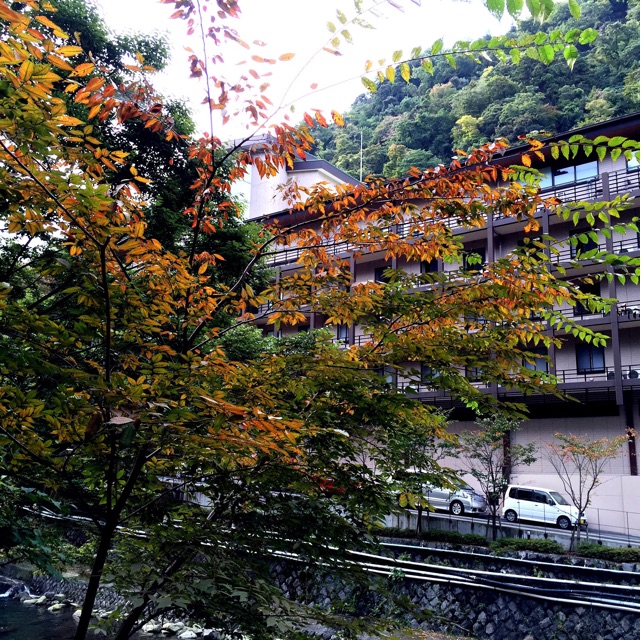 f:id:s06216to:20141021144315j:plain f:id:s06216to:20141021144315j:plain