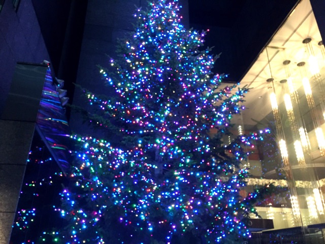 f:id:s06216to:20141205213759j:plain f:id:s06216to:20141205213759j:plain