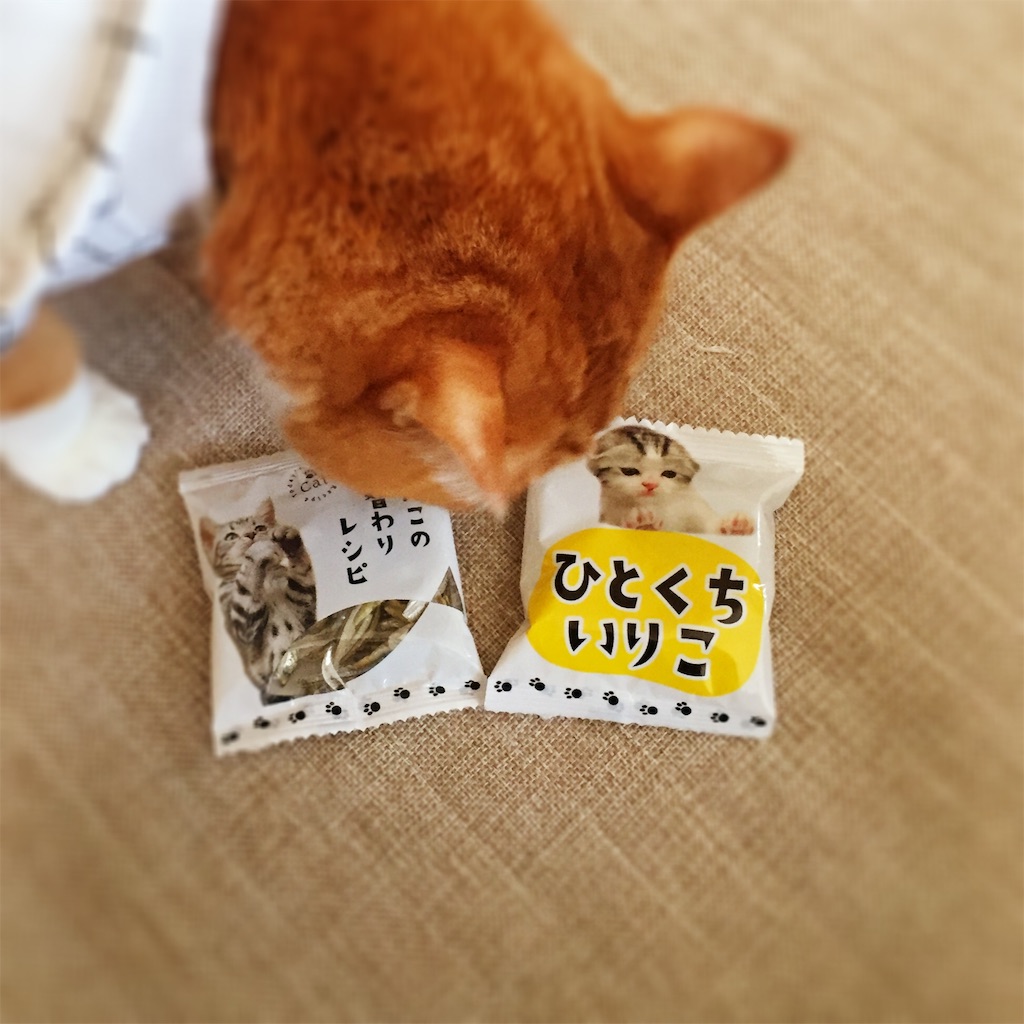 f:id:s2nekouyos2:20160321110958j:image f:id:s2nekouyos2:20160321110958j:image