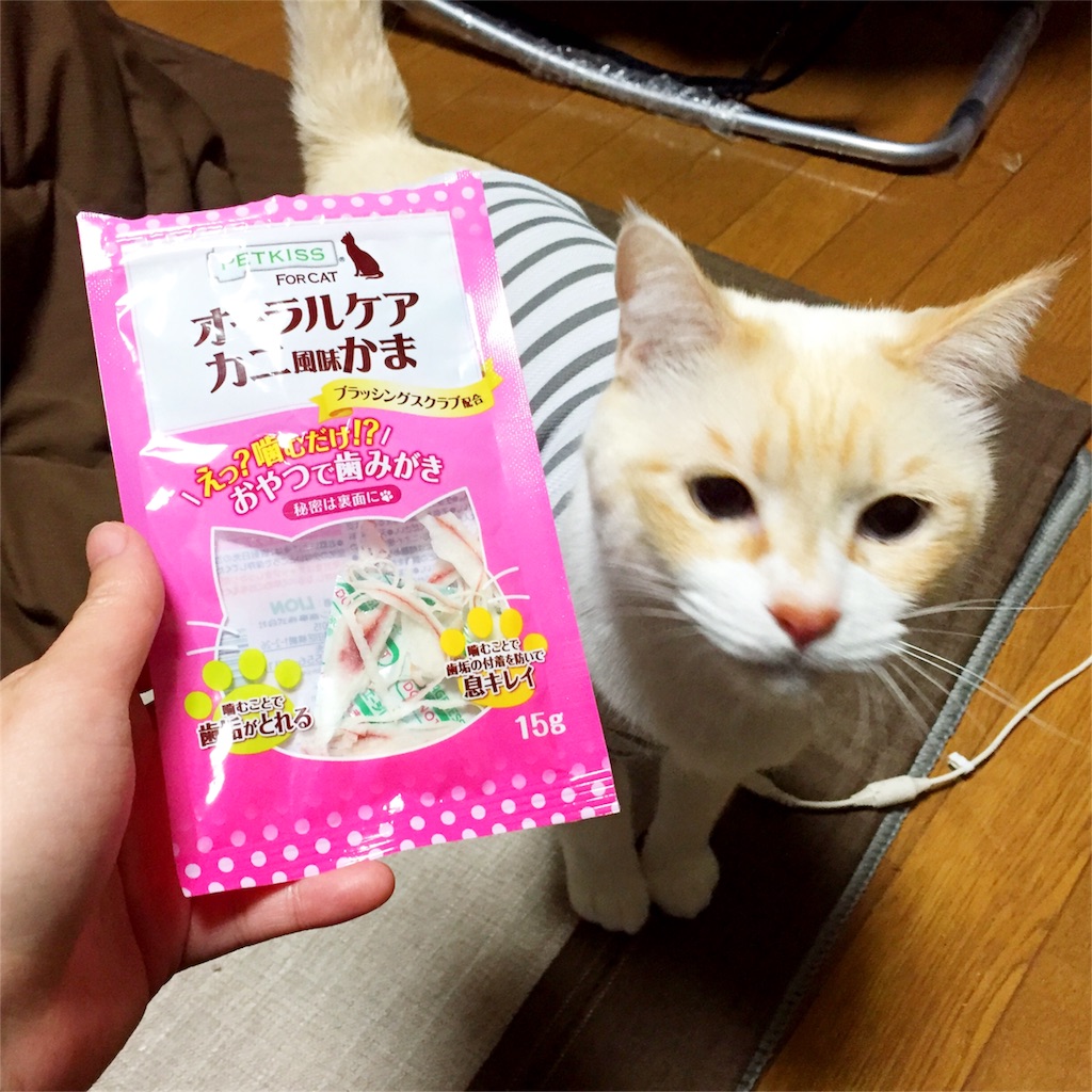 f:id:s2nekouyos2:20160322191604j:image f:id:s2nekouyos2:20160322191604j:image