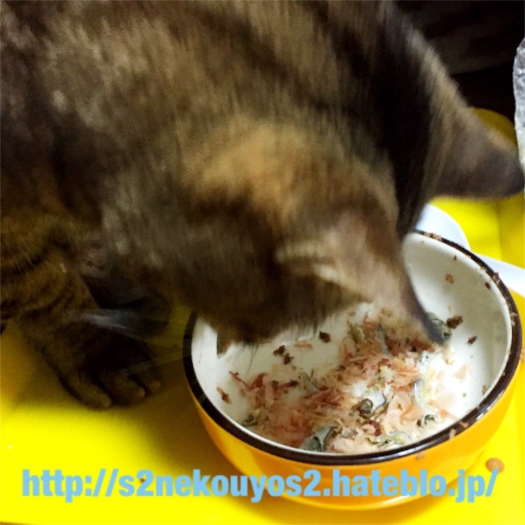 f:id:s2nekouyos2:20160330015757j:image f:id:s2nekouyos2:20160330015757j:image