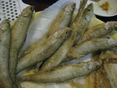 f:id:sabatoika:20081018193613j:image f:id:sabatoika:20081018193613j:image