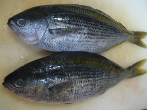f:id:sabatoika:20090829091951j:image f:id:sabatoika:20090829091951j:image