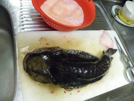 f:id:sabatoika:20100220090124j:image f:id:sabatoika:20100220090124j:image
