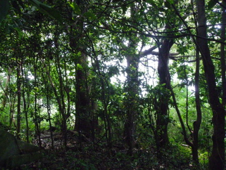 f:id:sabatoika:20100605115903j:image f:id:sabatoika:20100605115903j:image