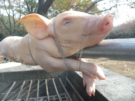 f:id:sabatoika:20101113125404j:image f:id:sabatoika:20101113125404j:image