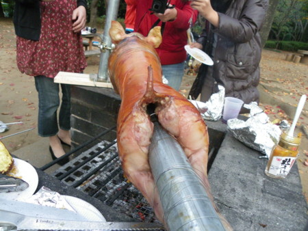 f:id:sabatoika:20101113152748j:image f:id:sabatoika:20101113152748j:image