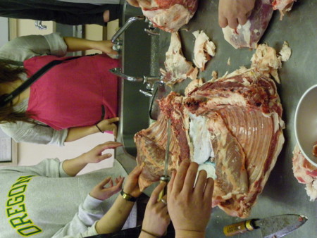 f:id:sabatoika:20110417155530j:image f:id:sabatoika:20110417155530j:image