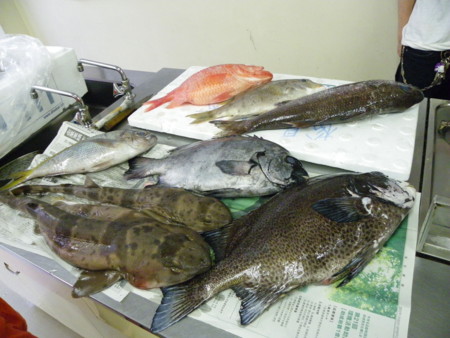 f:id:sabatoika:20110626123058j:image f:id:sabatoika:20110626123058j:image