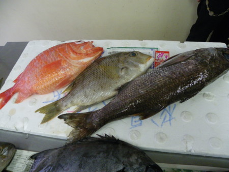 f:id:sabatoika:20110626123104j:image f:id:sabatoika:20110626123104j:image
