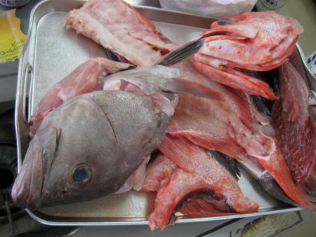 f:id:sabatoika:20120519133701j:image f:id:sabatoika:20120519133701j:image
