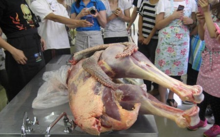 f:id:sabatoika:20120729132918j:image f:id:sabatoika:20120729132918j:image