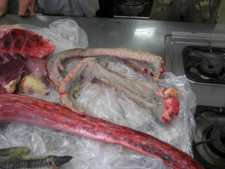 f:id:sabatoika:20120729133652j:image f:id:sabatoika:20120729133652j:image