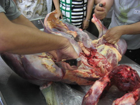 f:id:sabatoika:20120729134303j:image f:id:sabatoika:20120729134303j:image