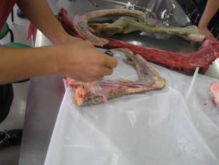 f:id:sabatoika:20120729135301j:image f:id:sabatoika:20120729135301j:image