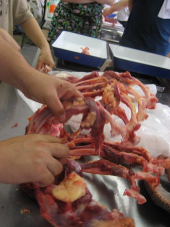 f:id:sabatoika:20120729141656j:image f:id:sabatoika:20120729141656j:image