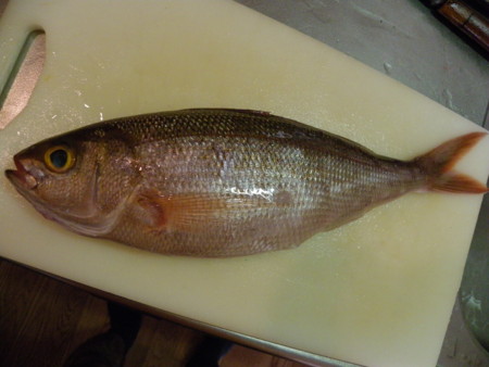 f:id:sabatoika:20120916153156j:image f:id:sabatoika:20120916153156j:image