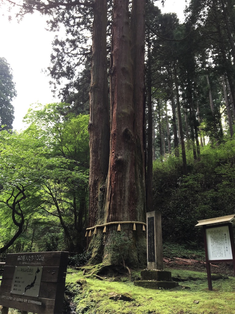 f:id:sachiyoga:20160504115806j:image f:id:sachiyoga:20160504115806j:image