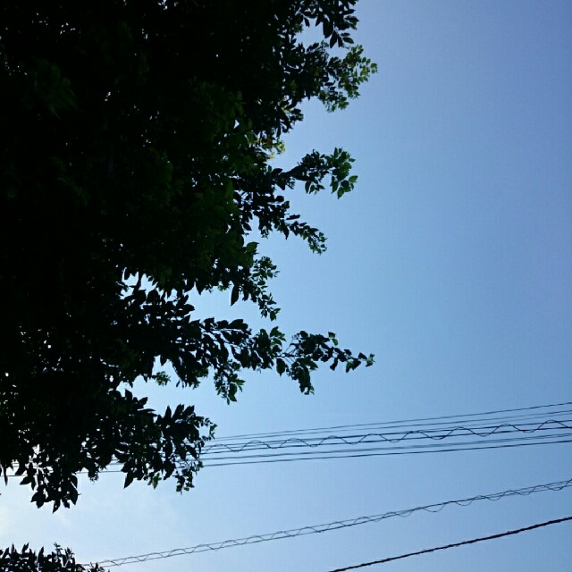 f:id:saculafubuki:20150726232551j:image f:id:saculafubuki:20150726232551j:image