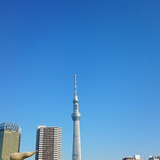 f:id:saculafubuki:20151229202029j:image f:id:saculafubuki:20151229202029j:image