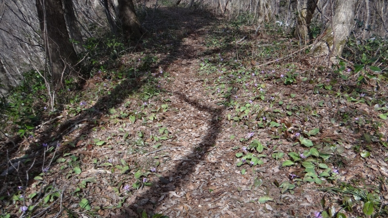 f:id:sahiro:20150328101007j:plain f:id:sahiro:20150328101007j:plain
