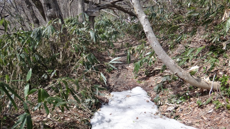 f:id:sahiro:20150328105623j:plain f:id:sahiro:20150328105623j:plain
