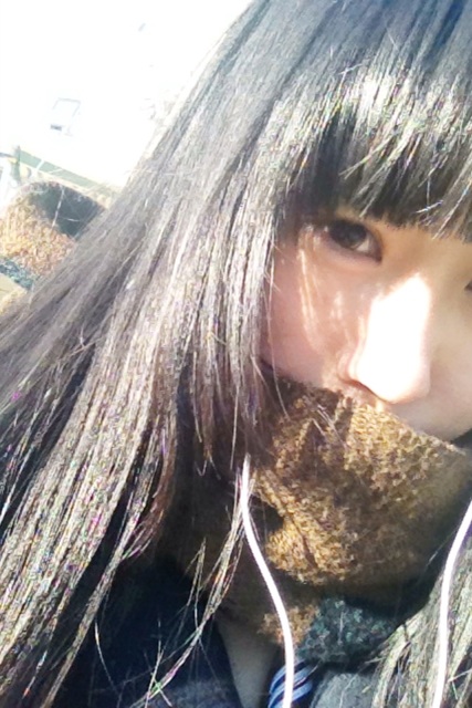 f:id:sahirororo:20131201155410j:plain f:id:sahirororo:20131201155410j:plain