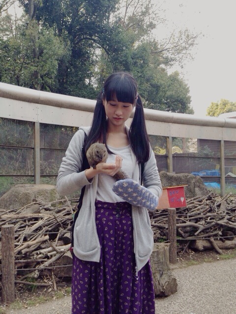 f:id:sahirororo:20140412082102j:plain f:id:sahirororo:20140412082102j:plain