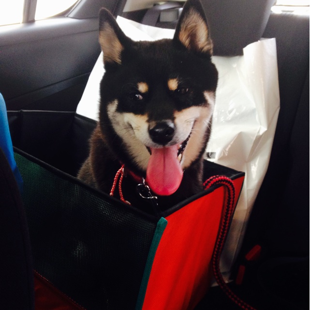 f:id:sahope:20150328234642j:plain f:id:sahope:20150328234642j:plain
