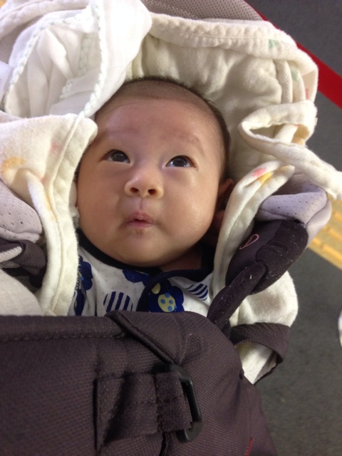 f:id:sahope:20150529125310j:plain f:id:sahope:20150529125310j:plain