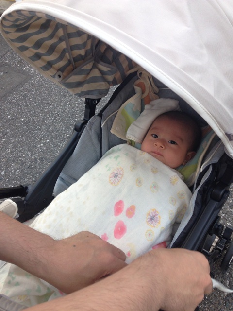 f:id:sahope:20150602094806j:plain f:id:sahope:20150602094806j:plain